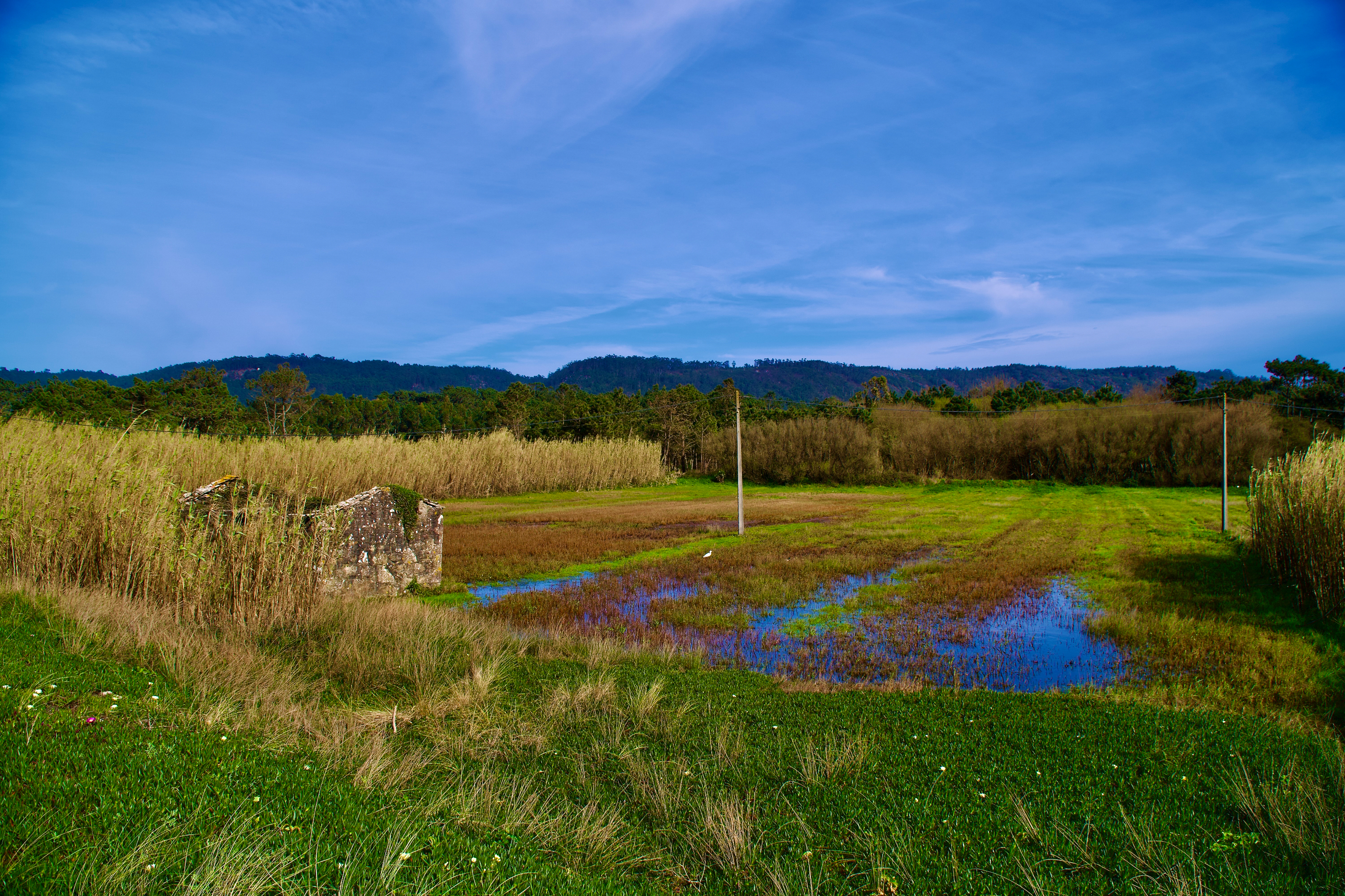 Where coastal marshlands meet mountain horizons, and seabirds find stillness