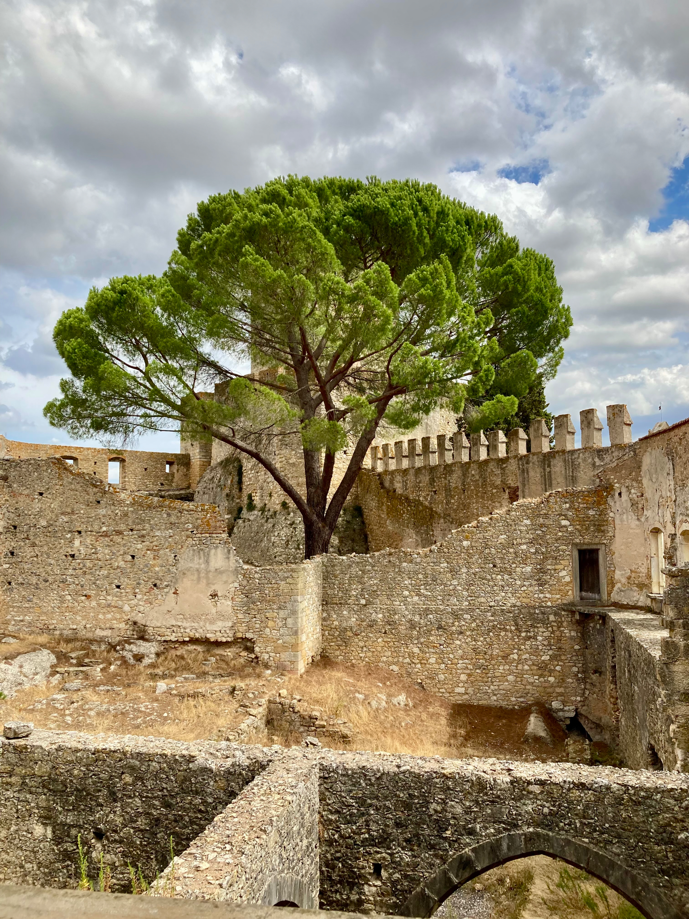 Centuries of faith, carved into stone and silence