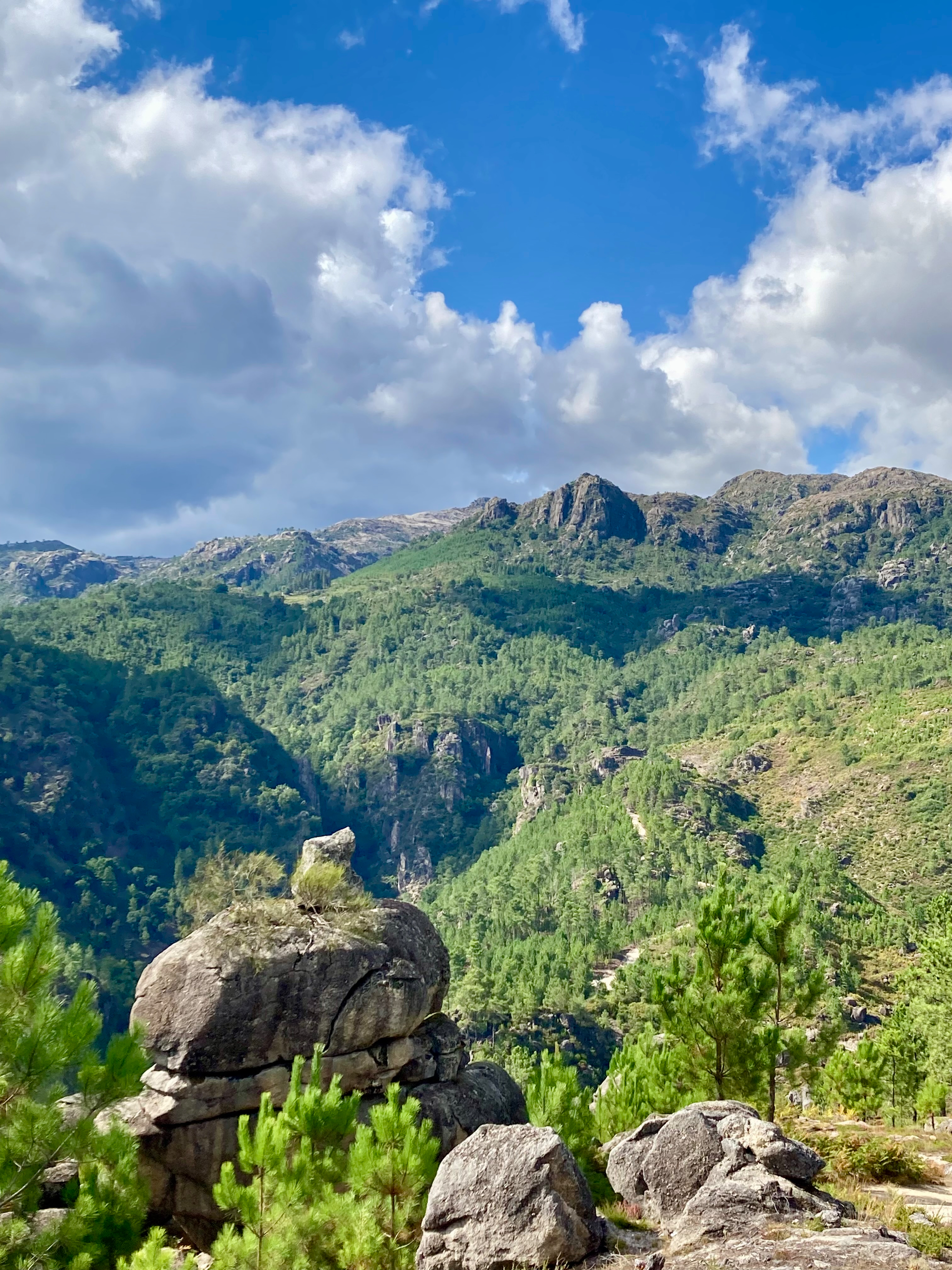 Where the rock and the forest have been arguing for centuries...