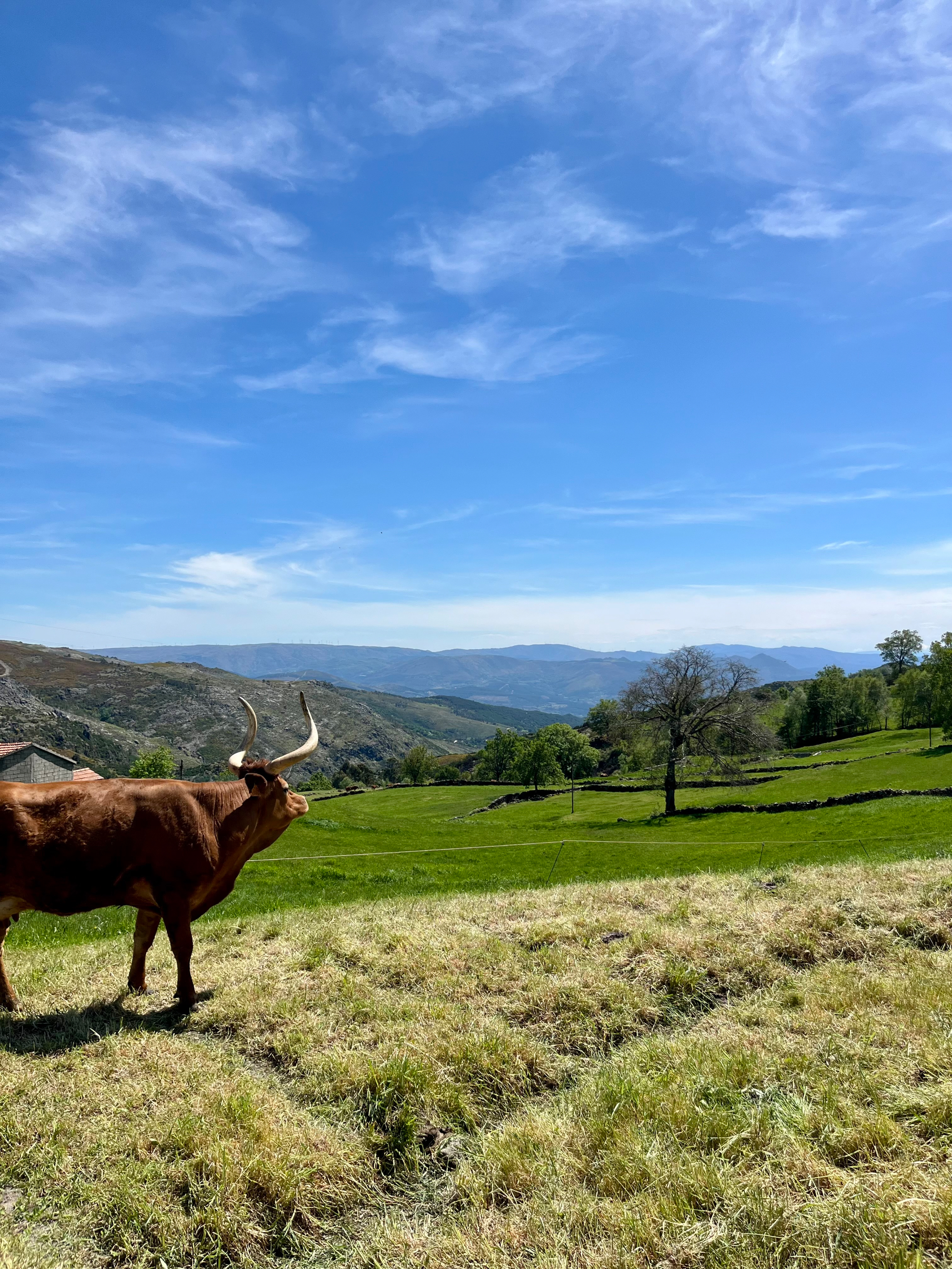 She's been here longer than the road