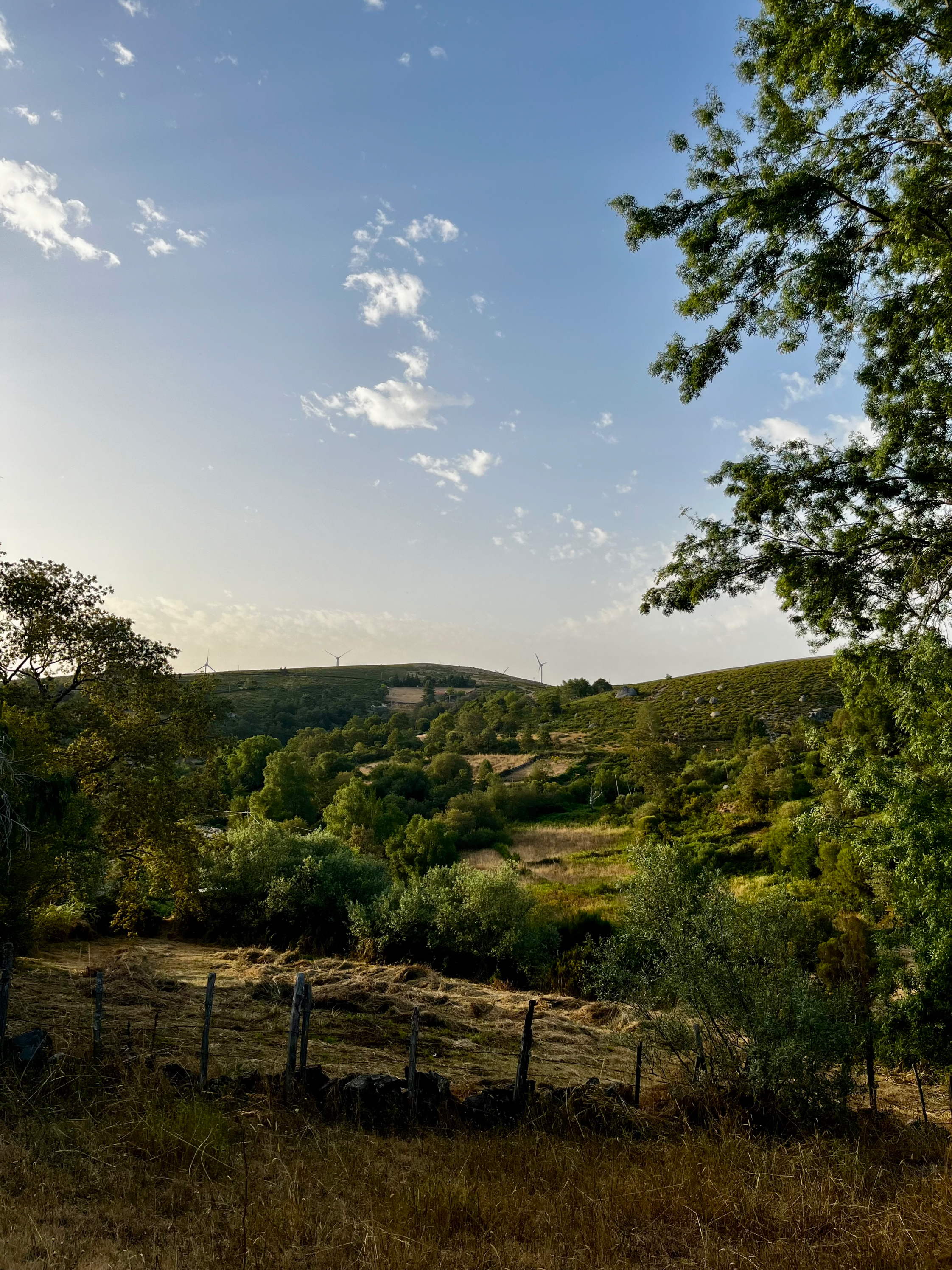 Silence here isn’t empty, it’s full of everything the city forgot