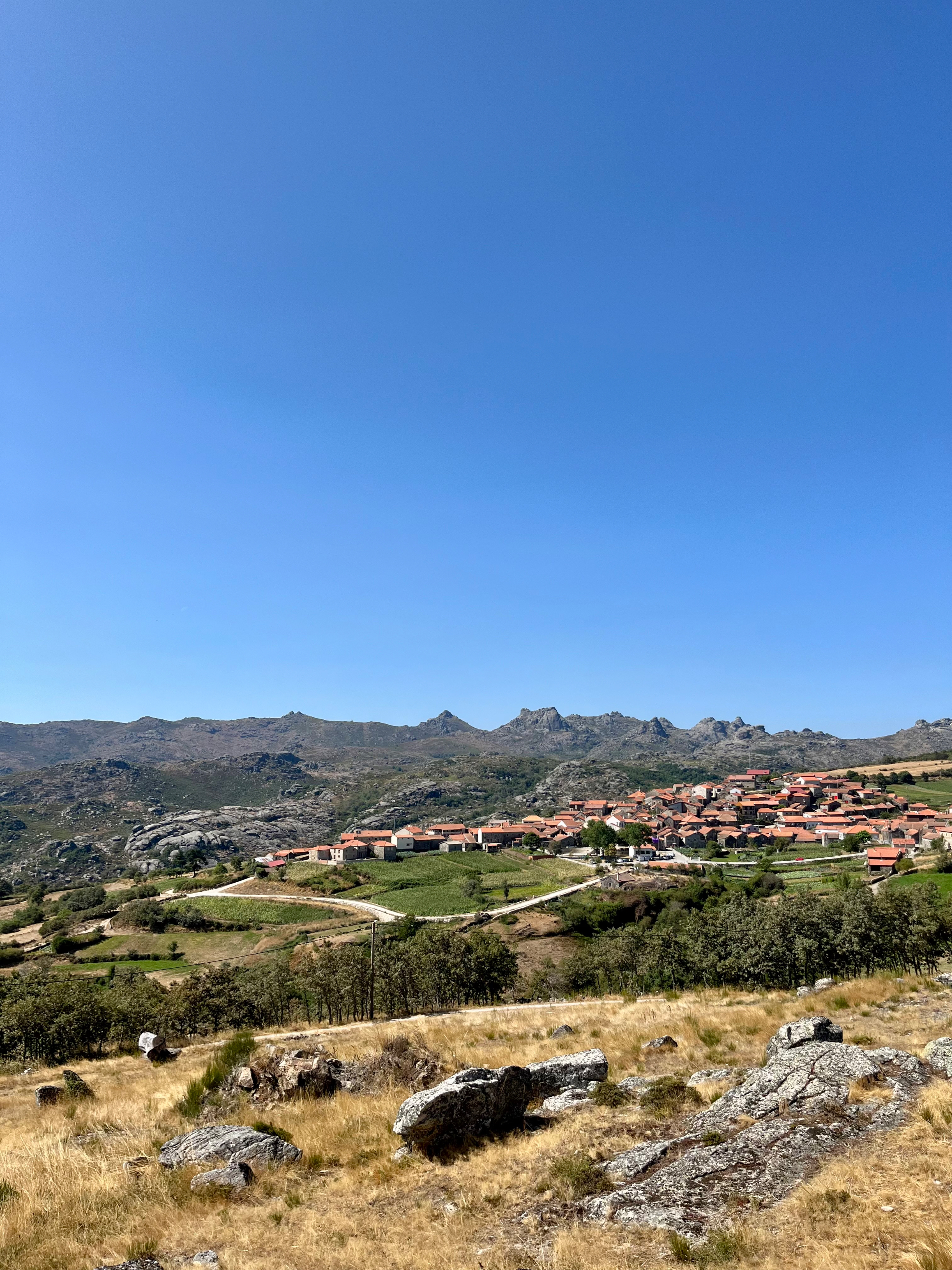 Rock, corn, a bird mid-flight, and a waterfall no one was looking for