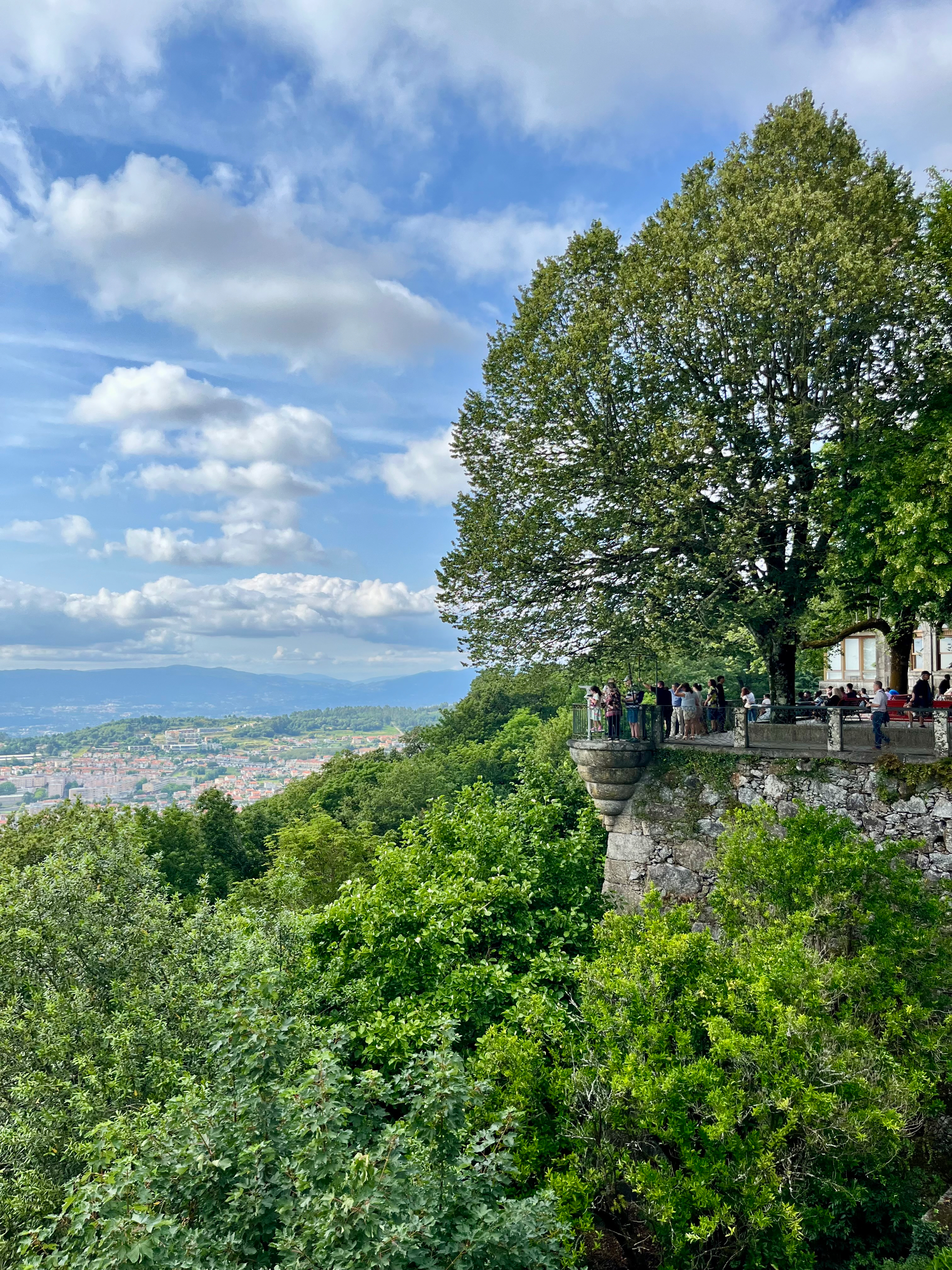 “Ver Braga por um canudo” they say