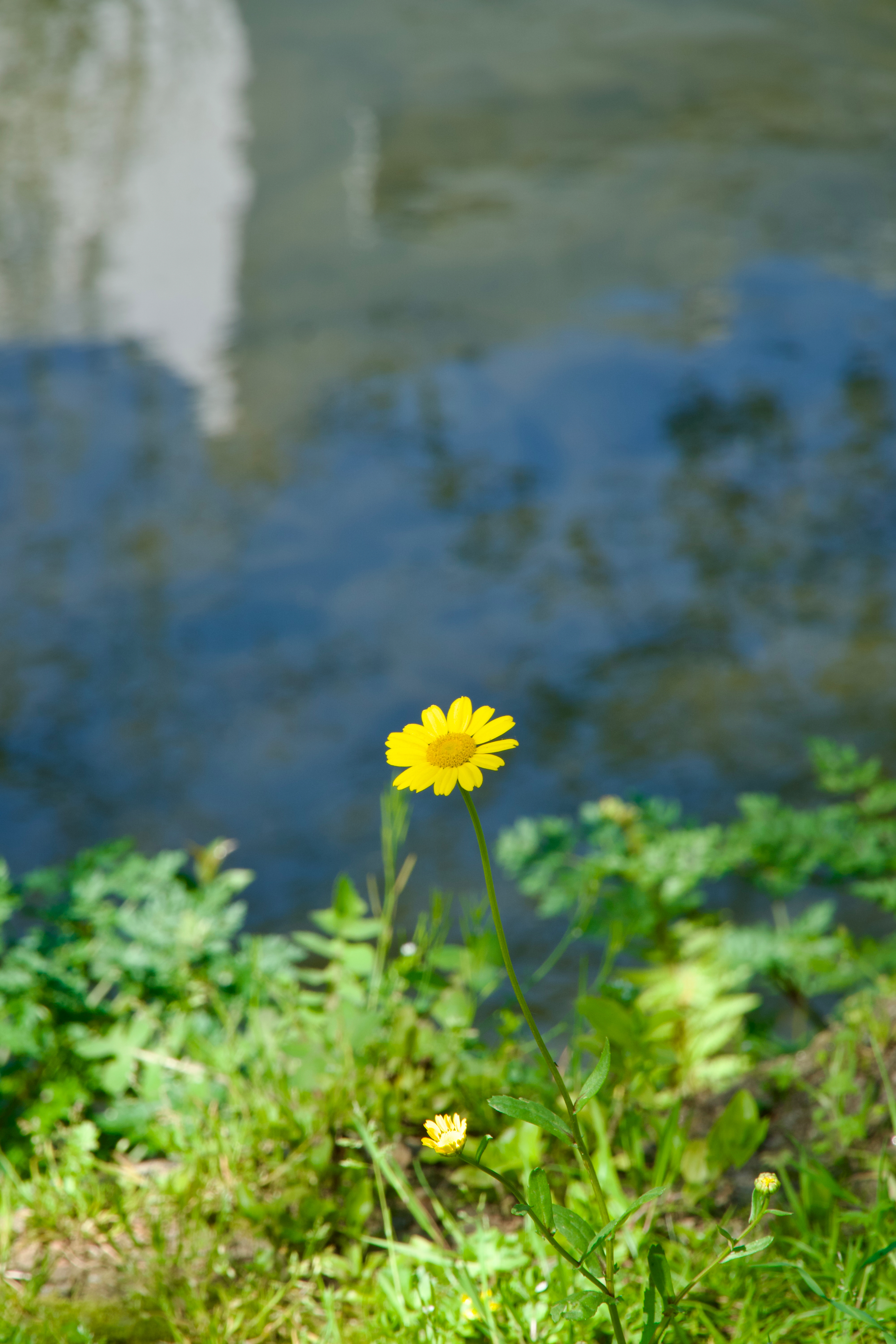 A slow walk along the river...